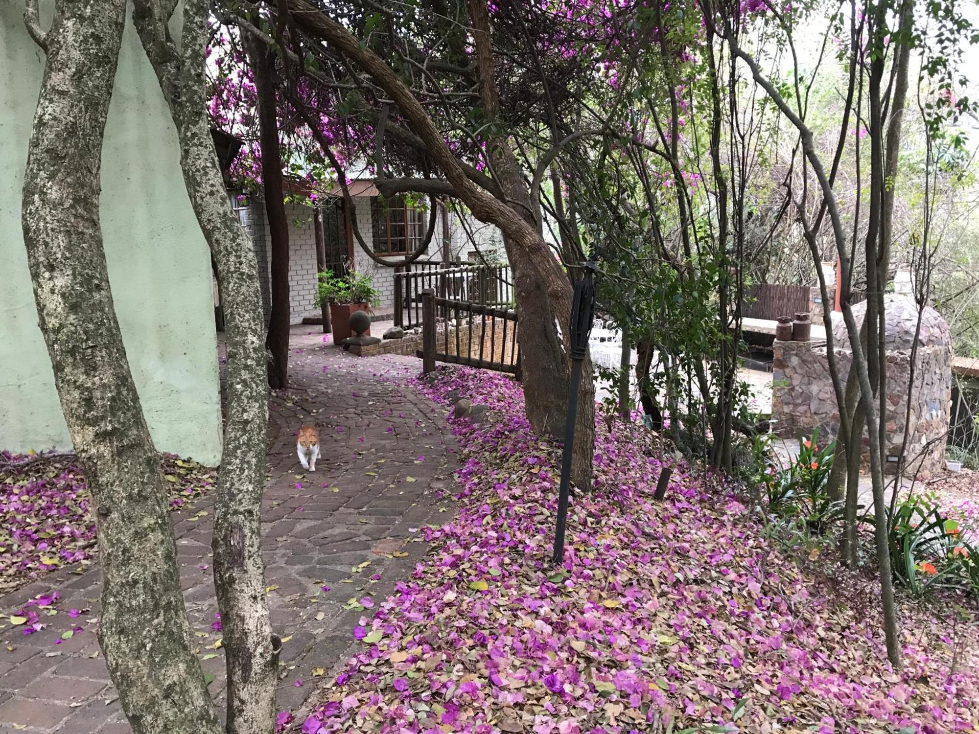 Old Joe'S Kaia Hotel Shoemanskloof Exterior foto